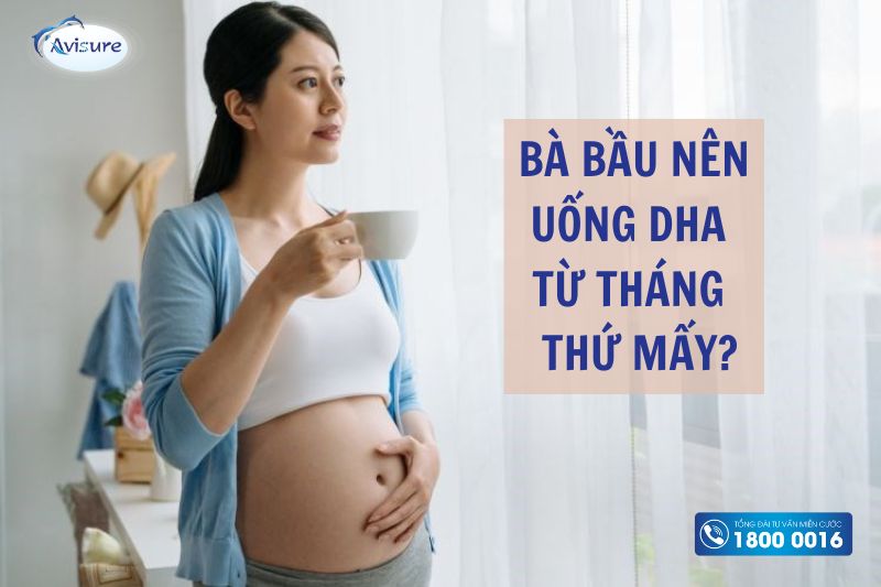 lượng dha cần thiết cho bà bầu từ tháng thứ mấy